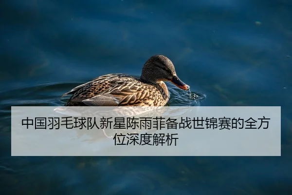 中国羽毛球队新星陈雨菲备战世锦赛的全方位深度解析